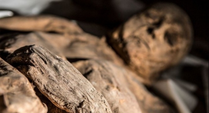 10 creepy medicines that were made from the dead