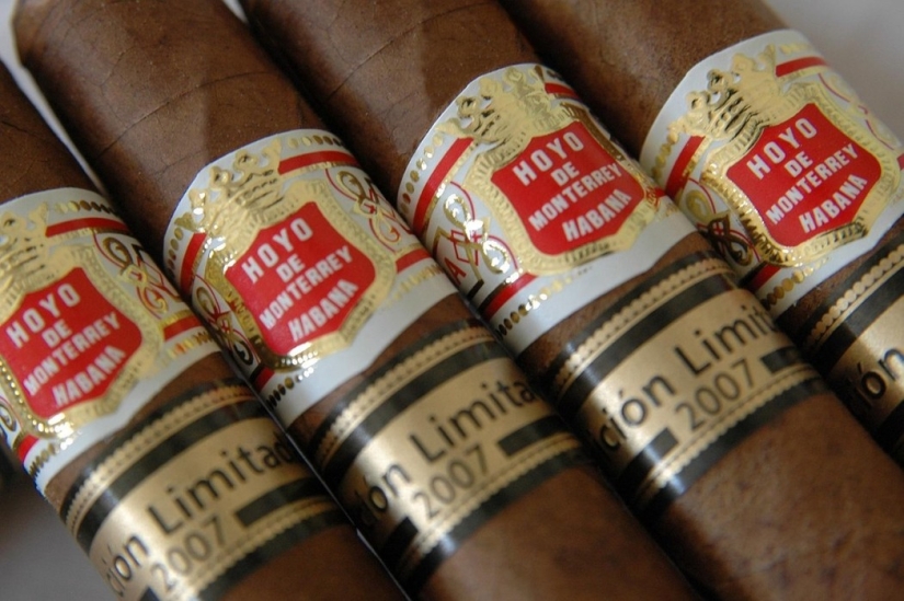 10 curious insurance cases