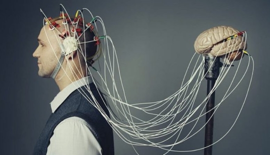 10 datos increíbles sobre el cerebro humano que te sorprenderán