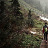 10 deadly dangers lurking in our forests