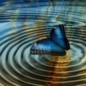 10 examples of the "butterfly effect" that completely changed the world