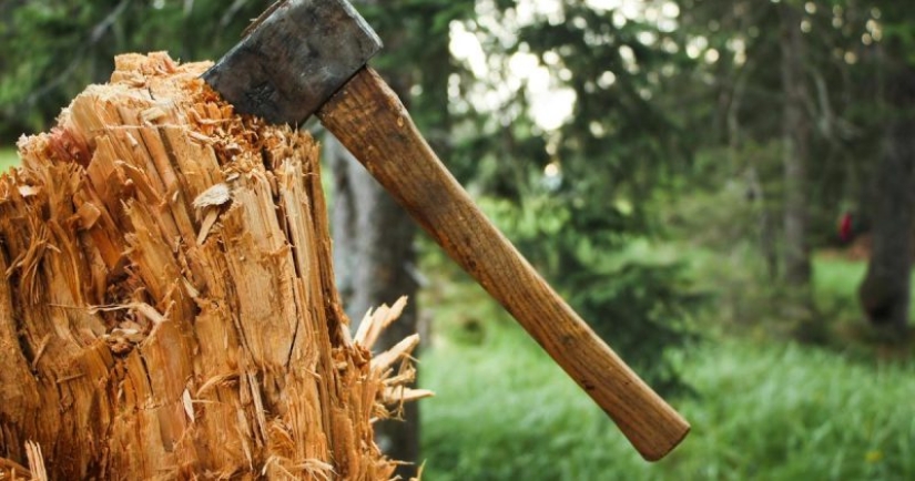 10 extreme situations in which a limb had to be amputated independently in order to survive