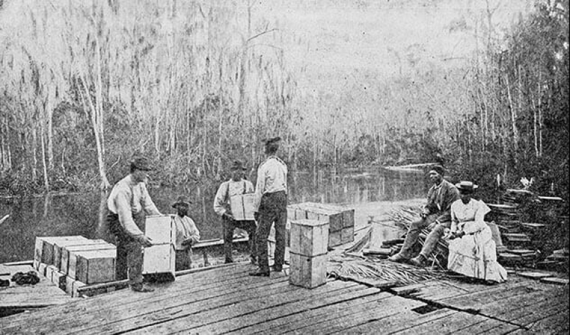 10 false ideas about slavery in the United States 10 false ideas about slavery in the United States