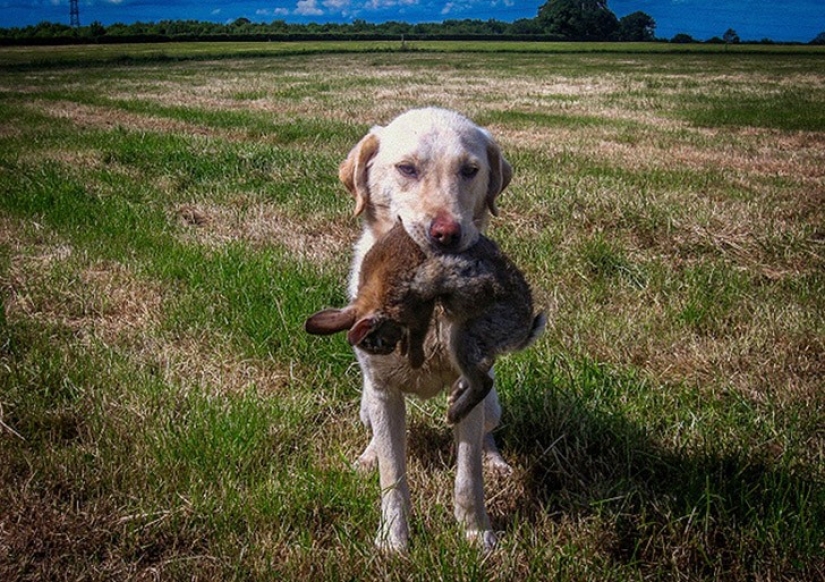 10 fenómenos inusuales, que, resulta, que hay términos 10 fenómenos inusuales, que, resulta, que hay términos
