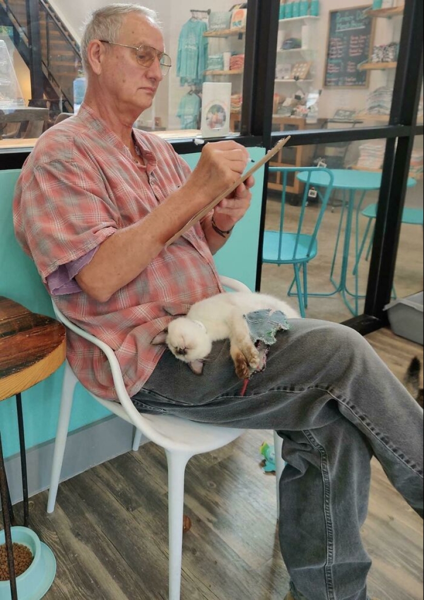 10 historias emotivas que te conmoverán el corazón y te harán llorar de alegría