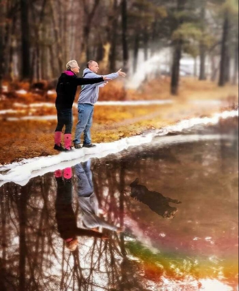 10 historias emotivas que te conmoverán el corazón y te harán llorar de alegría