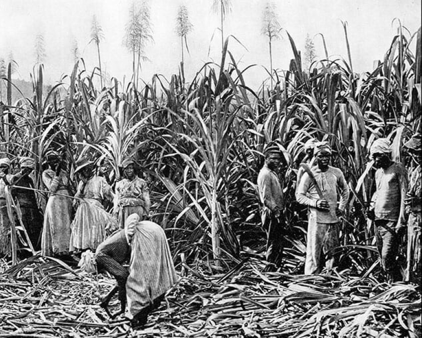 10 ideas falsas sobre la esclavitud en los Estados Unidos 10 ideas falsas sobre la esclavitud en los Estados Unidos