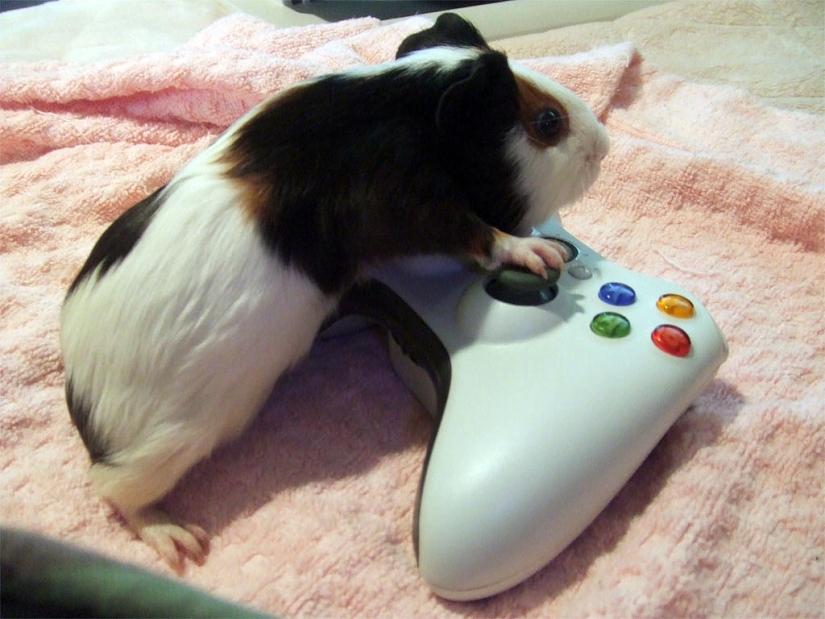 10 incredible dopings