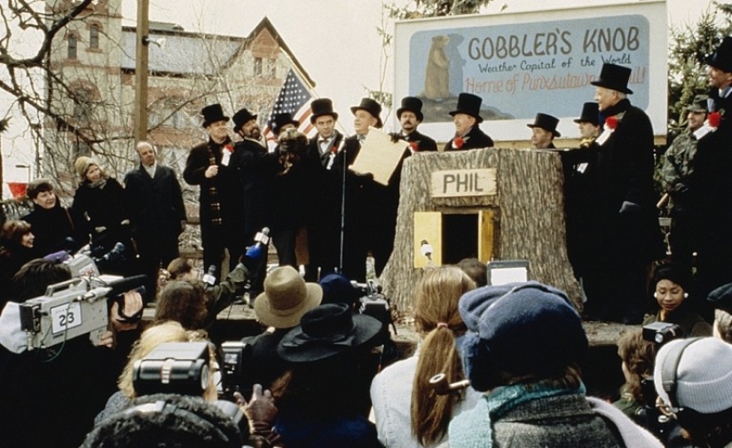 10 Interesting Facts About Cheese 10 Interesting Facts About Cheese