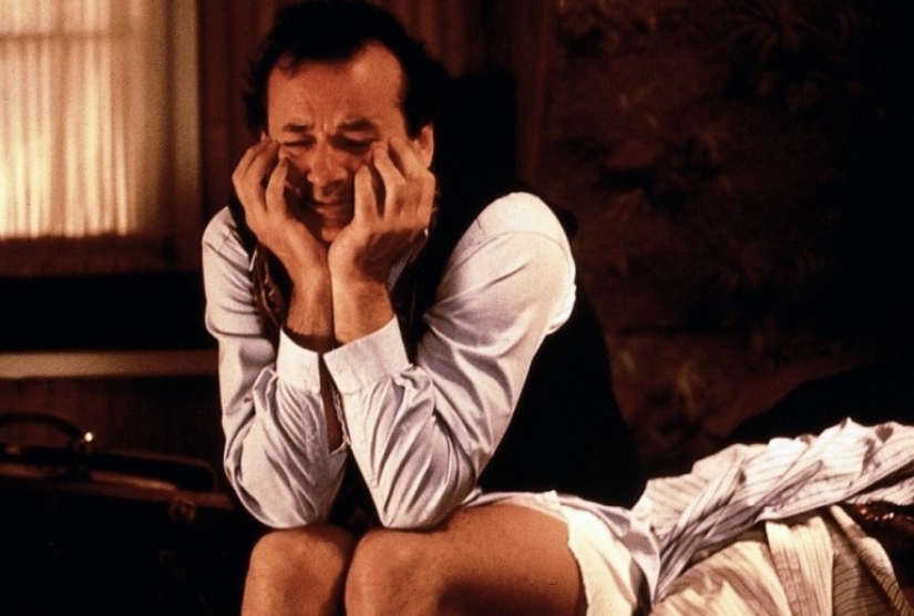 10 Interesting Facts About Cheese 10 Interesting Facts About Cheese