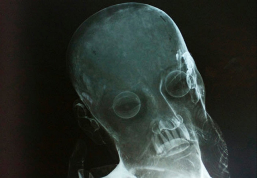 10 interesting finds made inside the statues 10 interesting finds made inside the statues