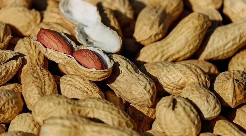 10 main vegetable sources of protein: they contain no less protein than meat 10 main vegetable sources of protein: they contain no less protein than meat