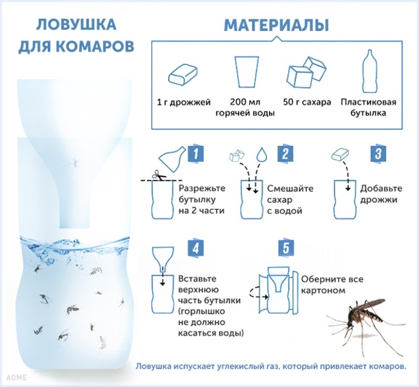 10 maneras de combatir los mosquitos y sus picaduras 10 maneras de combatir los mosquitos y sus picaduras