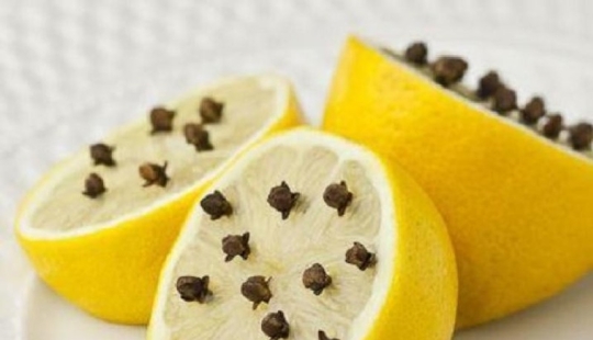 10 maneras de combatir los mosquitos y sus picaduras 10 maneras de combatir los mosquitos y sus picaduras