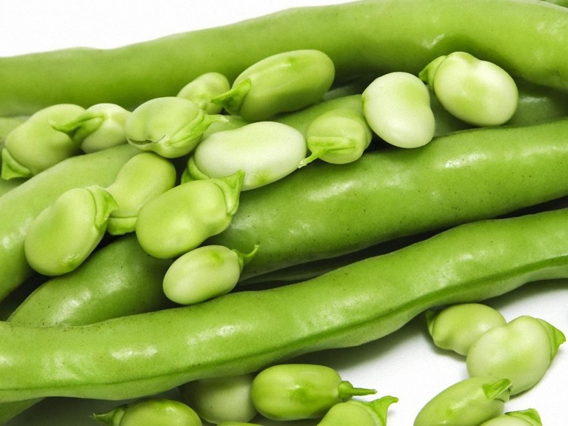 10 maneras de protegerse del cáncer 10 maneras de protegerse del cáncer