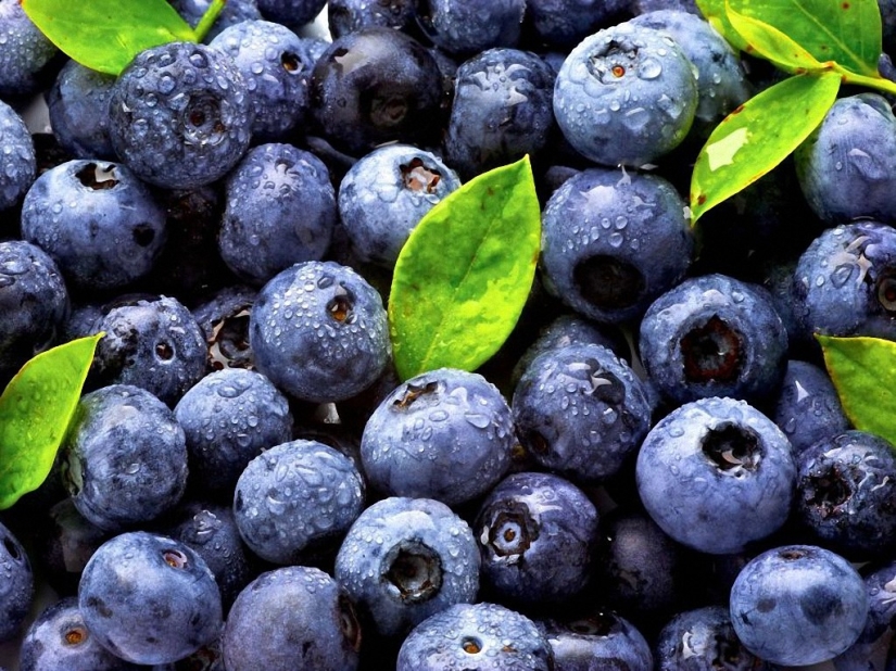 10 maneras de protegerse del cáncer 10 maneras de protegerse del cáncer