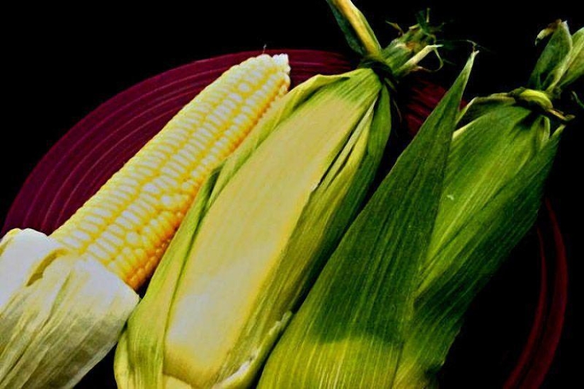 10 mejores tés de hierbas para bajar de peso