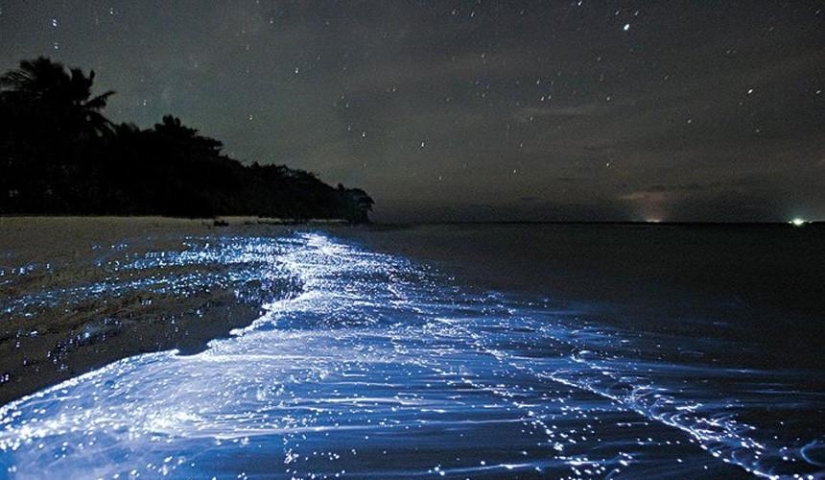 10 most amazing beaches in the world 10 most amazing beaches in the world