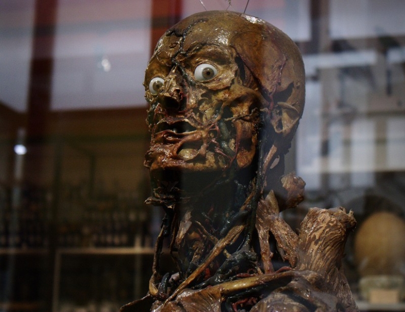 10 most shocking of ways in which artists create their works 10 most shocking of ways in which artists create their works