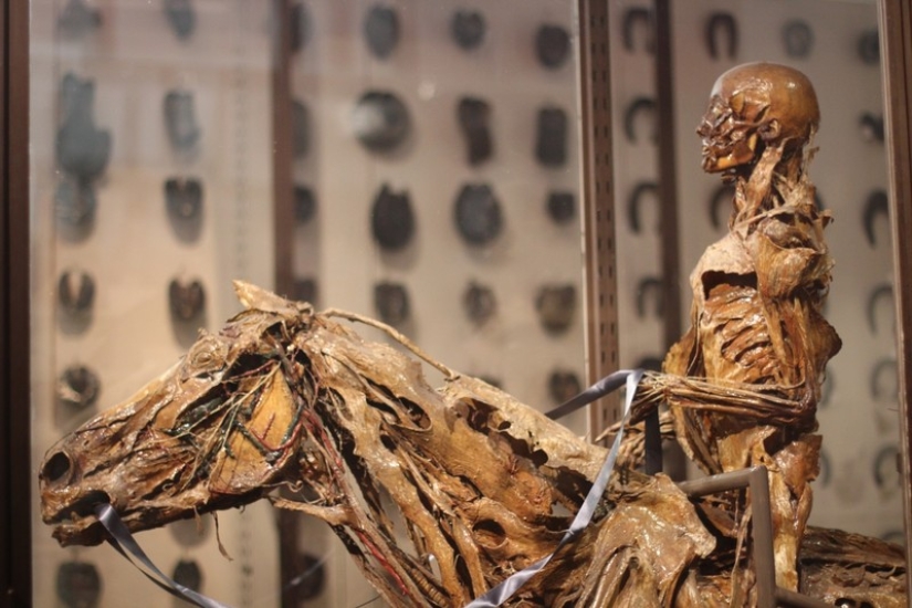 10 most shocking of ways in which artists create their works 10 most shocking of ways in which artists create their works