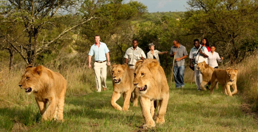 10 most unexpected and exotic hotel services 10 most unexpected and exotic hotel services