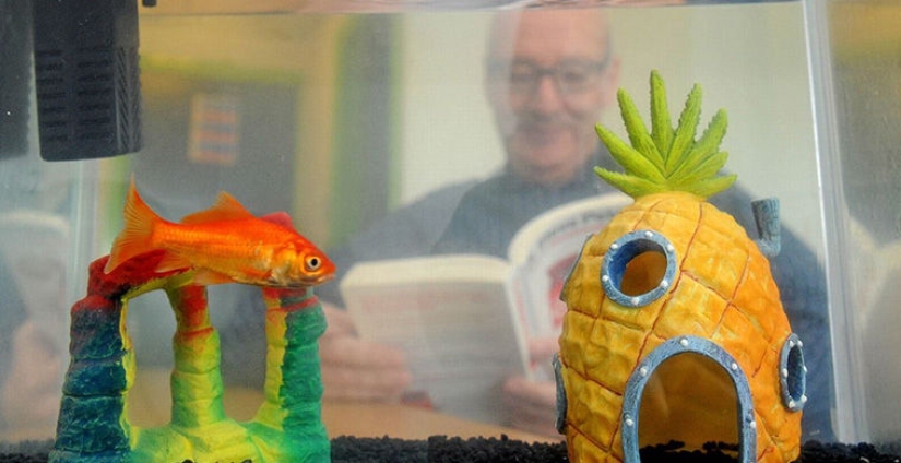 10 most unexpected and exotic hotel services 10 most unexpected and exotic hotel services