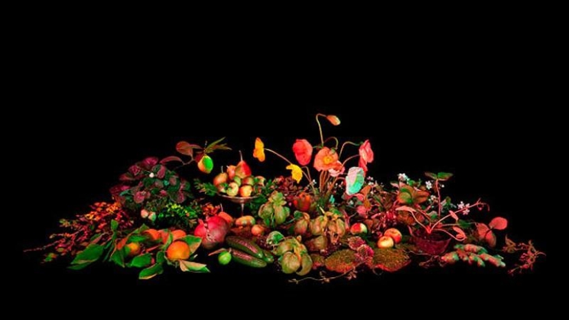 10 most useful magic collections from Salem