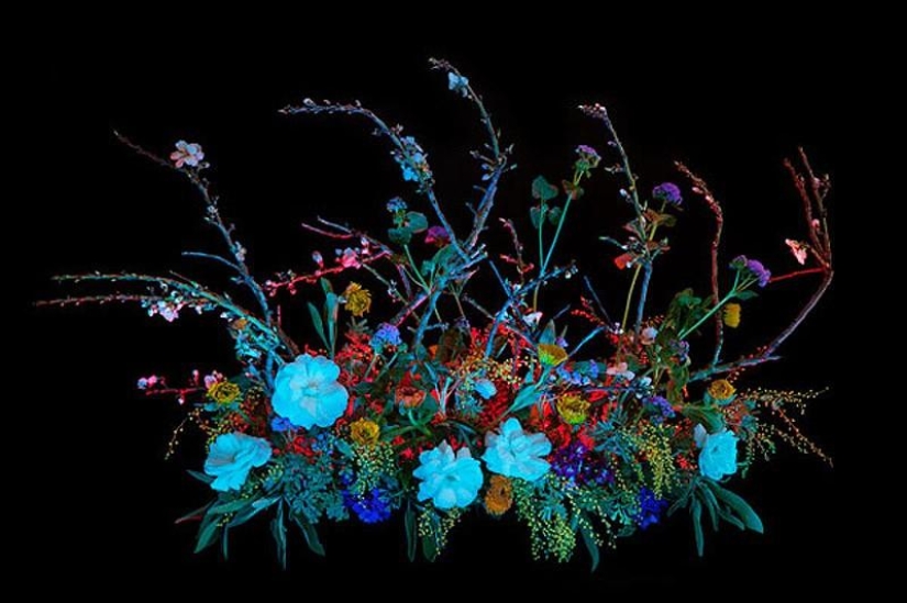 10 most useful magic collections from Salem