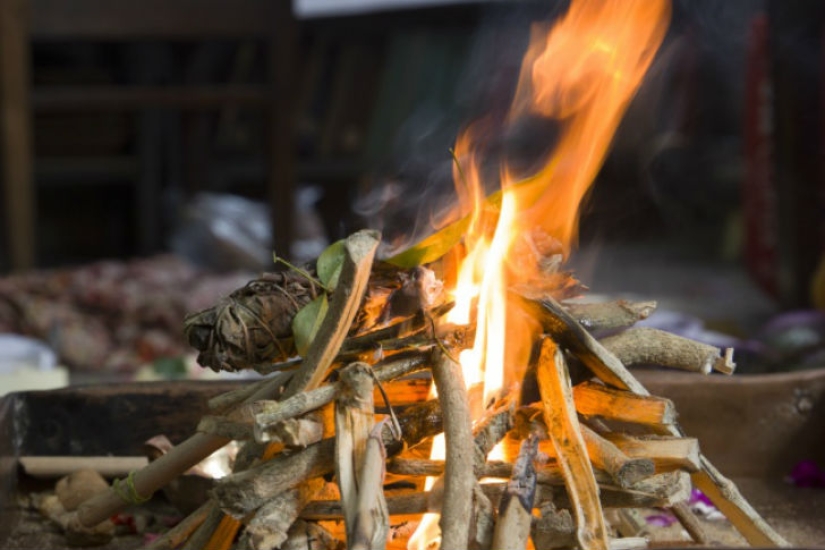 10 olores asesinos de mosquitos 10 olores asesinos de mosquitos