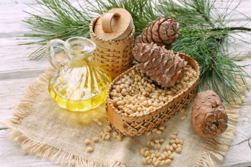 10 olores asesinos de mosquitos 10 olores asesinos de mosquitos