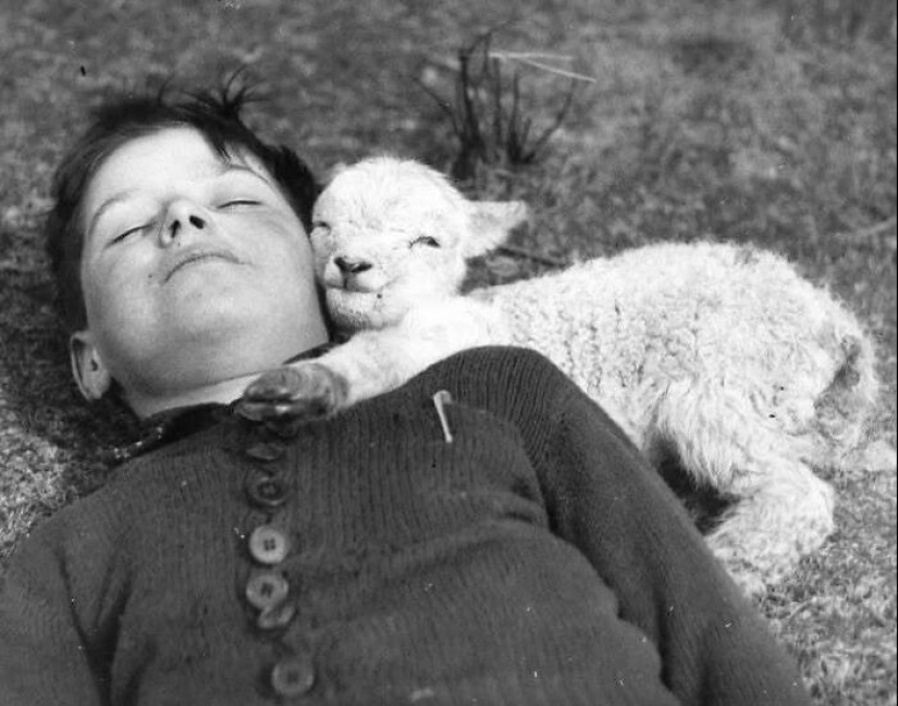 10 Pics That Are Likely To Infect You With Happiness 10 Pics That Are Likely To Infect You With Happiness