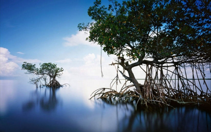 10 places to visit before they disappear 10 places to visit before they disappear