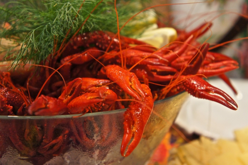 10 platos más famosos de la cocina sueca 10 platos más famosos de la cocina sueca