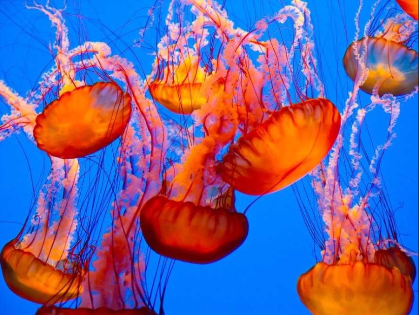 10 popular life hacks from the internet that are actually complete nonsense