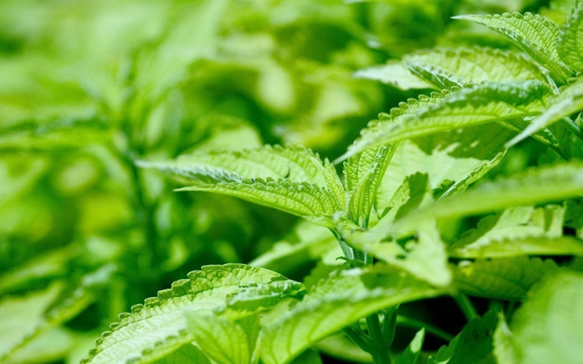 10 preguntas - 10 respuestas 10 preguntas - 10 respuestas