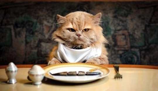 10 reglas de etiqueta que pueden confundirnos en otros países