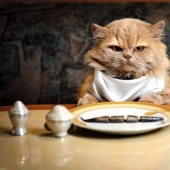 10 rules of etiquette that can confuse us in other countries