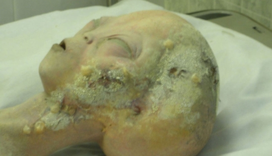 10 scientific hoaxes that shocked the world