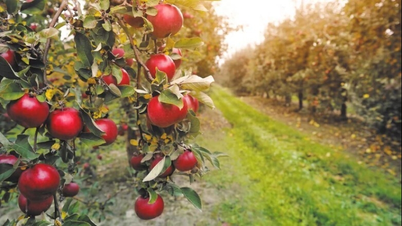 10 secretos oscuros de la Prohibición en los Estados Unidos