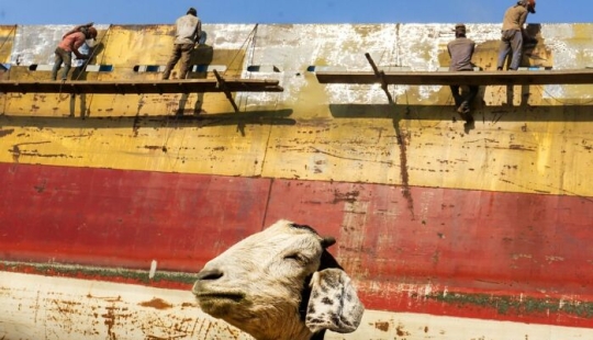 10 Unique Moments Captured By Md Enamul Kabir