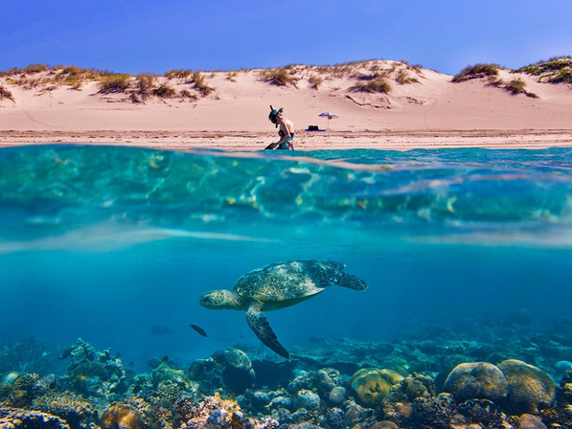 10 unique prepodobnykh photos