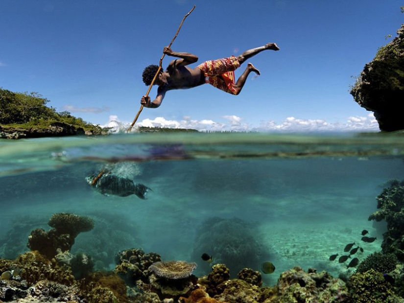 10 unique prepodobnykh photos