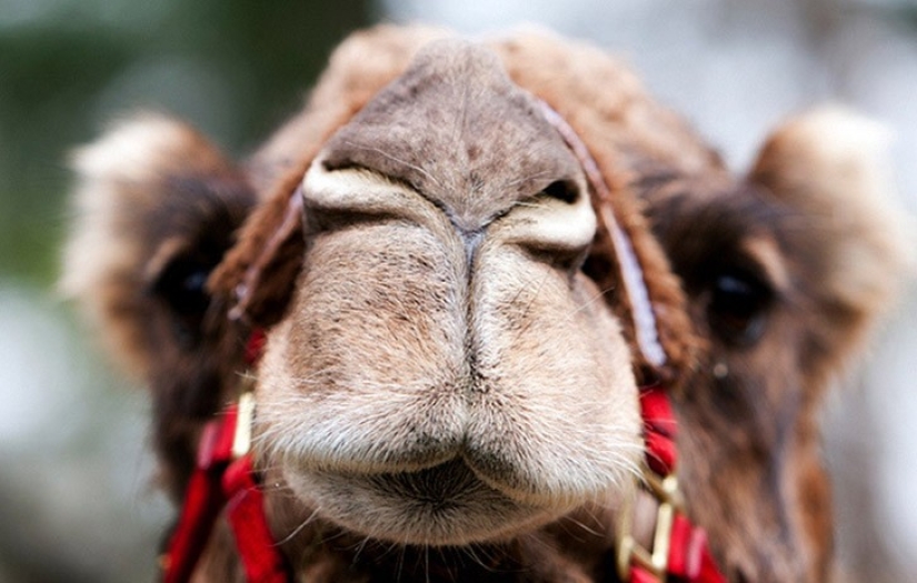 10 unusual phenomena, which, it turns out, there are terms 10 unusual phenomena, which, it turns out, there are terms