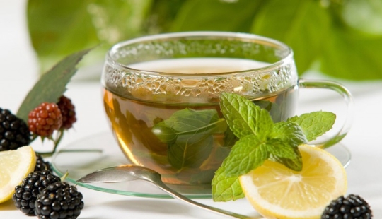 10 useful properties of green tea