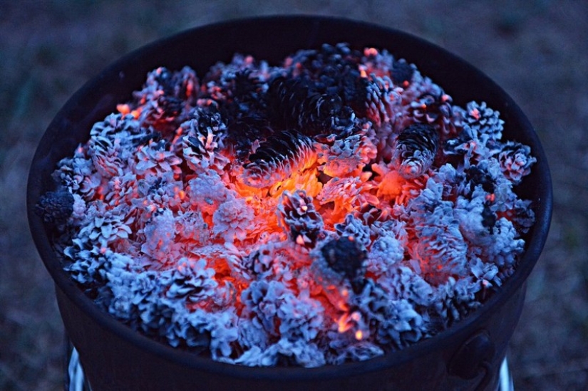 10 ways to fight mosquitoes and their bites 10 ways to fight mosquitoes and their bites