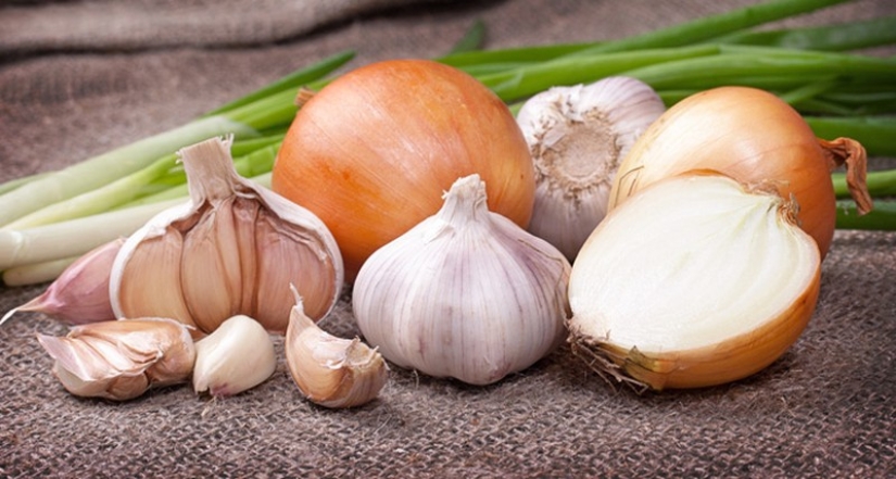 10 ways to fight mosquitoes and their bites 10 ways to fight mosquitoes and their bites