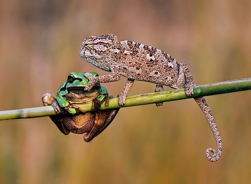 100 best photos without photoshop