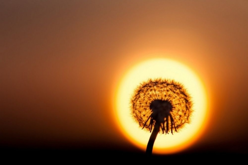 100 best photos without photoshop