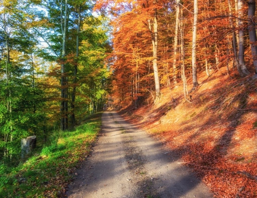 100 best photos without photoshop