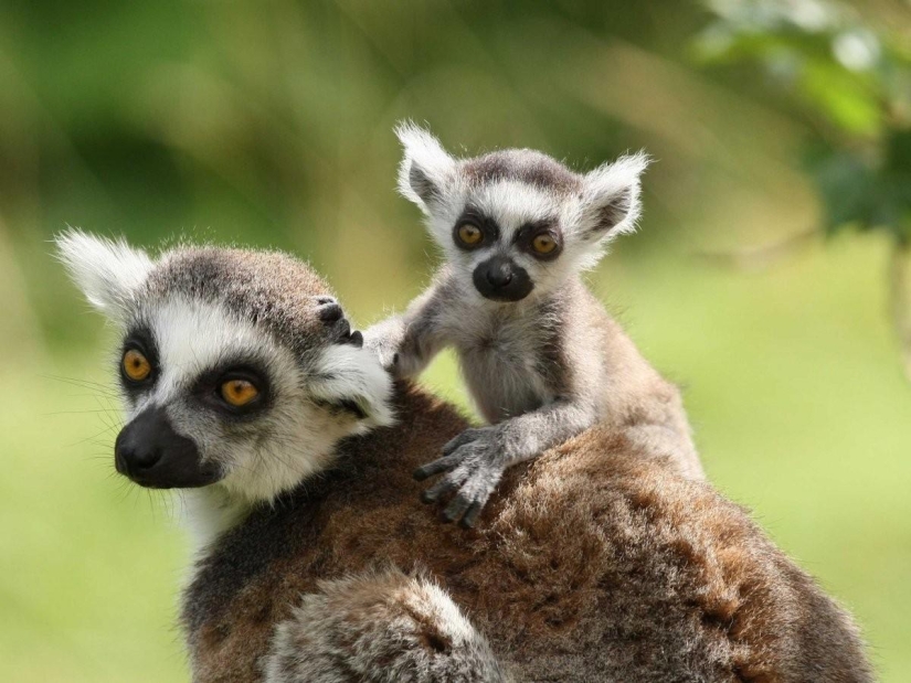 100 lugares en el mundo que debes visitar en tu vida